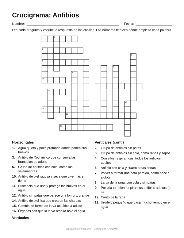 Hoja para imprimir del crucigrama de los anfibios: cuadrícula numerada de 17 × 17 con 9 palabras horizontales y 9 verticales, y la lista de pistas.