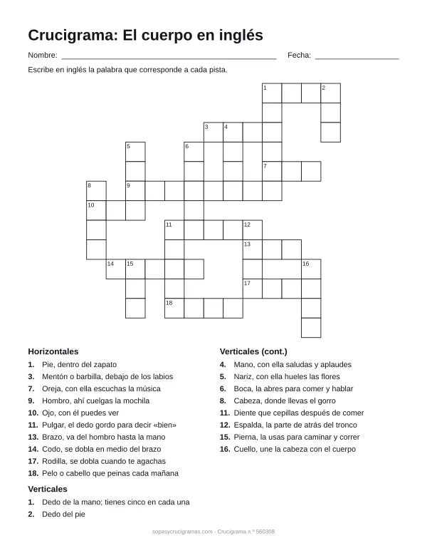 Hoja para imprimir del crucigrama del cuerpo en inglés: cuadrícula numerada de 13 × 13 con 10 palabras horizontales y 10 verticales, y la lista de pistas.