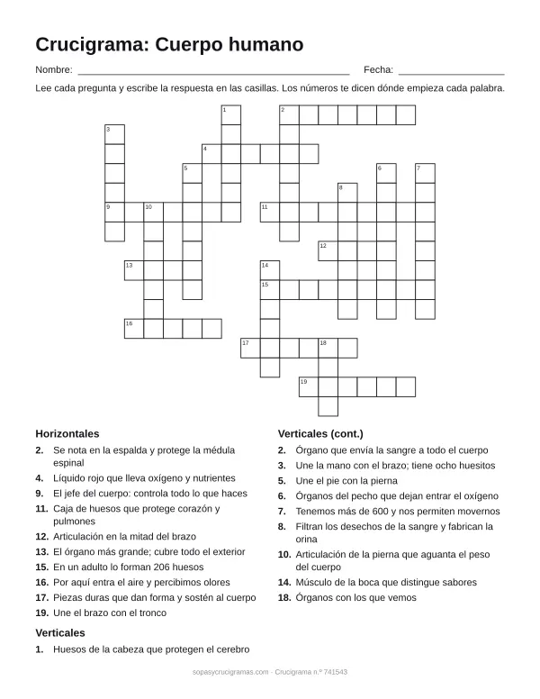 Hoja para imprimir del crucigrama del cuerpo humano: cuadrícula numerada de 16 × 17 con 10 palabras horizontales y 10 verticales, y la lista de pistas.