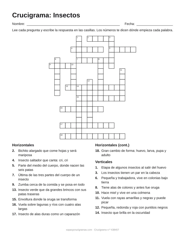 Hoja para imprimir del crucigrama de insectos: cuadrícula numerada de 19 × 16 con 10 palabras horizontales y 8 verticales, y la lista de pistas.