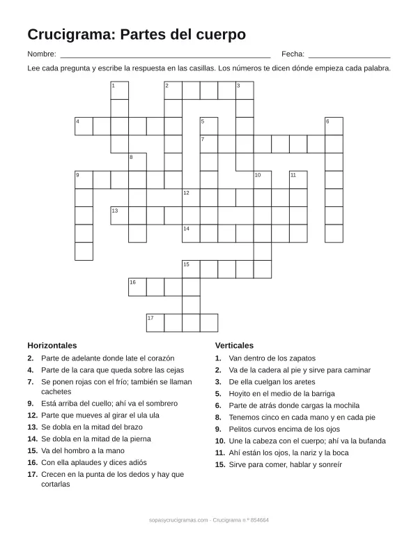 Hoja para imprimir del crucigrama de las partes del cuerpo: cuadrícula numerada de 14 × 15 con 10 palabras horizontales y 10 verticales, y la lista de pistas.