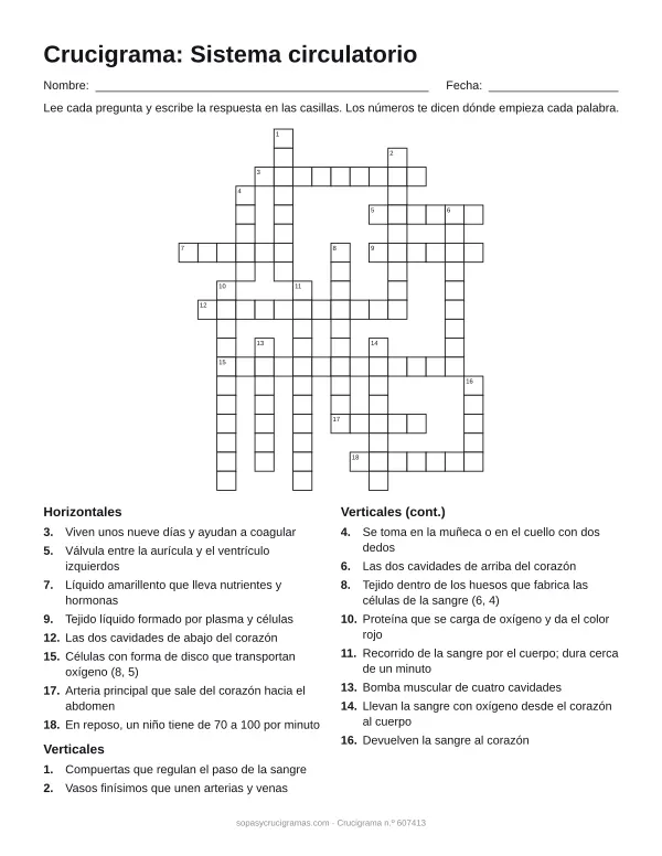 Hoja para imprimir del crucigrama del sistema circulatorio: cuadrícula numerada de 19 × 16 con 8 palabras horizontales y 10 verticales, y la lista de pistas.