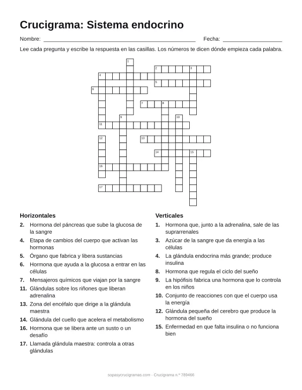 Hoja para imprimir del crucigrama del sistema endocrino: cuadrícula numerada de 21 × 17 con 10 palabras horizontales y 8 verticales, y la lista de pistas.
