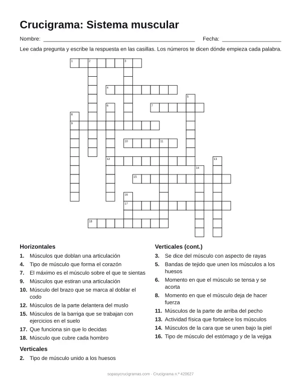 Hoja para imprimir del crucigrama del sistema muscular: cuadrícula numerada de 20 × 18 con 9 palabras horizontales y 9 verticales, y la lista de pistas.