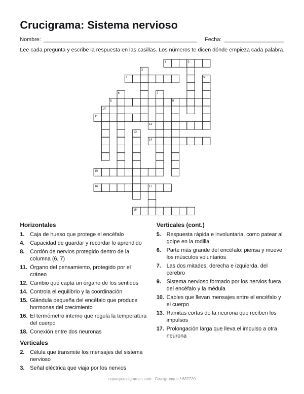 Hoja para imprimir del crucigrama del sistema nervioso: cuadrícula numerada de 20 × 15 con 9 palabras horizontales y 9 verticales, y la lista de pistas.