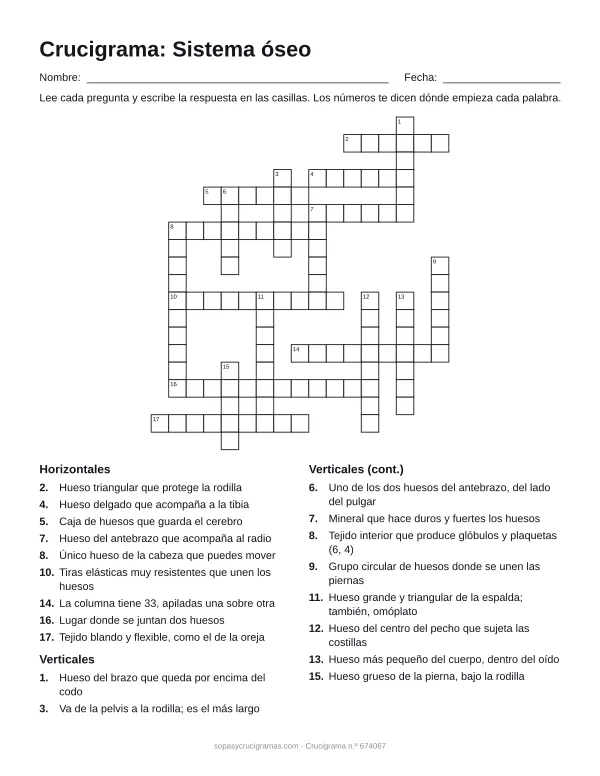 Hoja para imprimir del crucigrama del sistema óseo: cuadrícula numerada de 19 × 17 con 9 palabras horizontales y 10 verticales, y la lista de pistas.