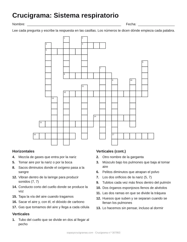 Hoja para imprimir del crucigrama del sistema respiratorio: cuadrícula numerada de 18 × 20 con 8 palabras horizontales y 10 verticales, y la lista de pistas.