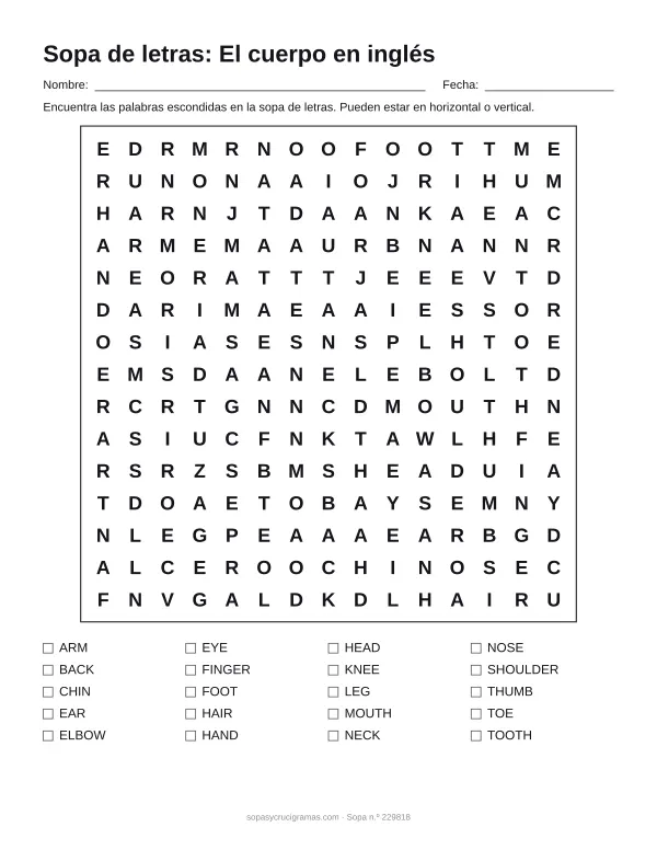 Hoja para imprimir de la sopa de letras del cuerpo en inglés: cuadrícula de 15 × 15 letras con 20 palabras escondidas, renglones para nombre y fecha y la lista de palabras para tachar.