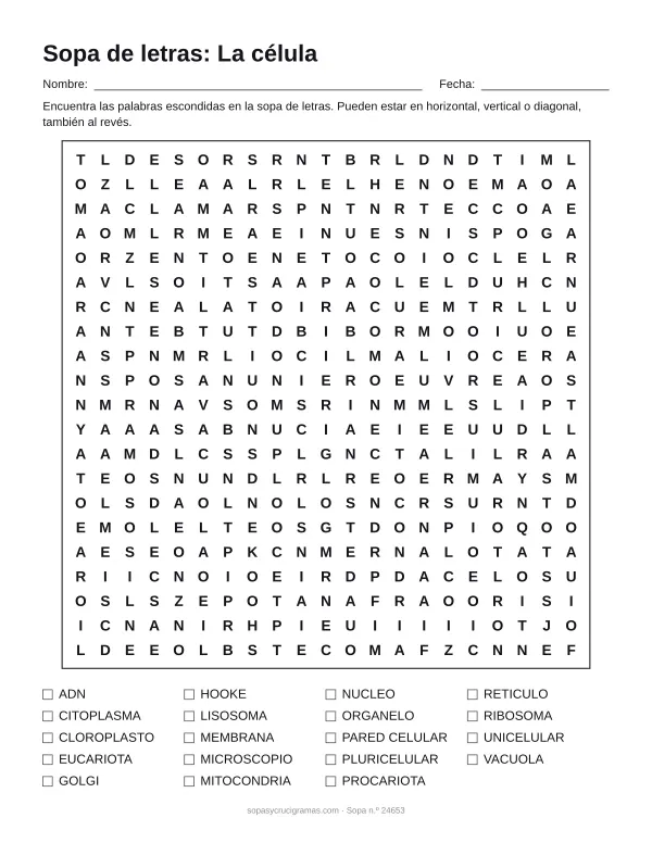 Hoja para imprimir de la sopa de letras de la célula: cuadrícula de 21 × 21 letras con 19 palabras escondidas, renglones para nombre y fecha y la lista de palabras para tachar.