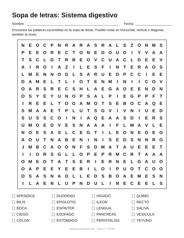 Hoja para imprimir de la sopa de letras del sistema digestivo: cuadrícula de 20 × 20 letras con 20 palabras escondidas, renglones para nombre y fecha y la lista de palabras para tachar.