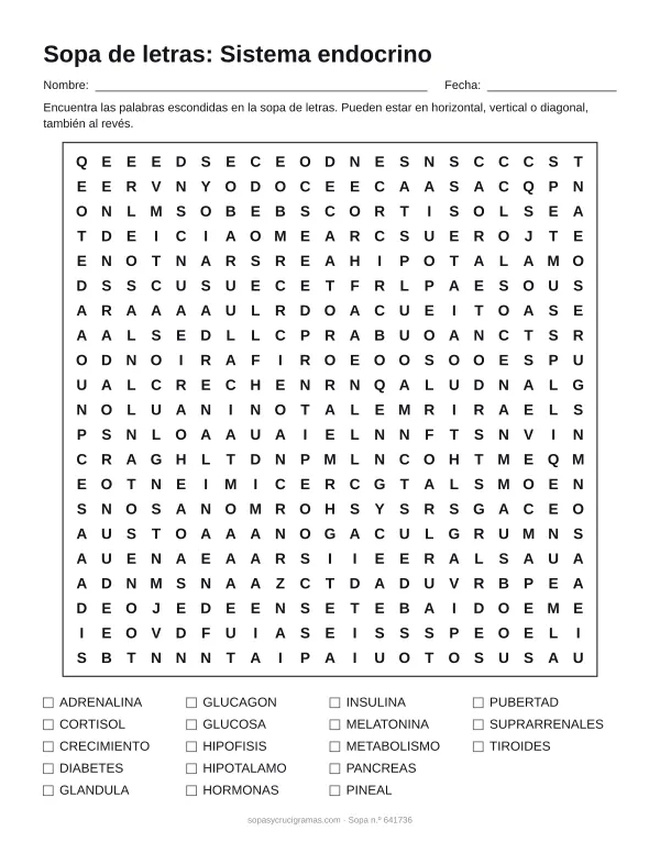 Hoja para imprimir de la sopa de letras del sistema endocrino: cuadrícula de 21 × 21 letras con 18 palabras escondidas, renglones para nombre y fecha y la lista de palabras para tachar.