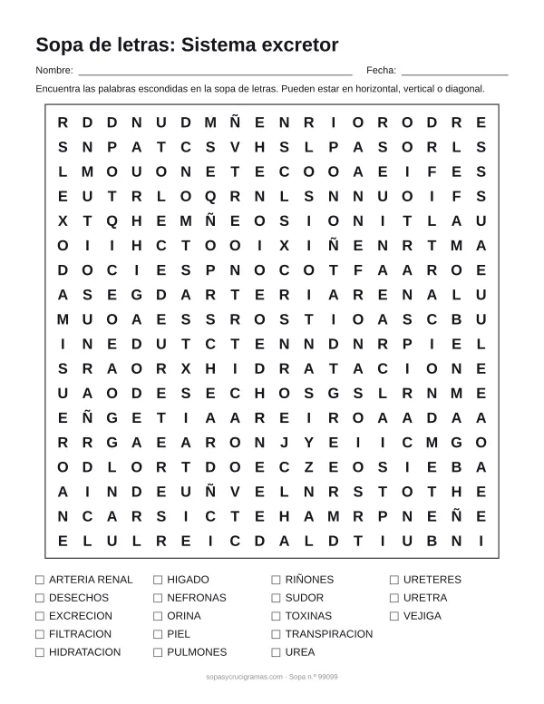 Hoja para imprimir de la sopa de letras del sistema excretor: cuadrícula de 18 × 18 letras con 18 palabras escondidas, renglones para nombre y fecha y la lista de palabras para tachar.