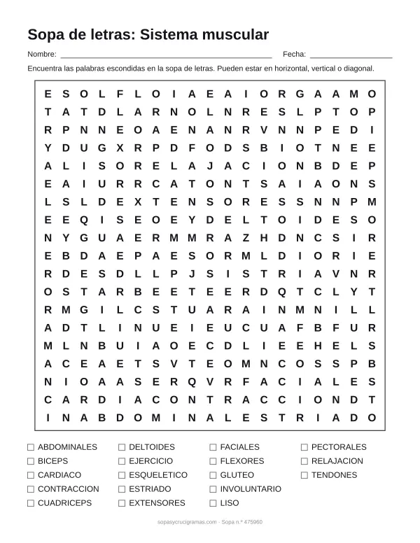 Hoja para imprimir de la sopa de letras del sistema muscular: cuadrícula de 19 × 19 letras con 18 palabras escondidas, renglones para nombre y fecha y la lista de palabras para tachar.