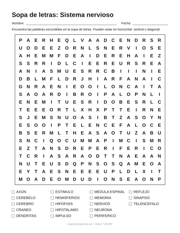 Hoja para imprimir de la sopa de letras del sistema nervioso: cuadrícula de 19 × 19 letras con 18 palabras escondidas, renglones para nombre y fecha y la lista de palabras para tachar.