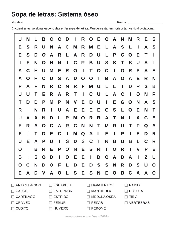 Hoja para imprimir de la sopa de letras del sistema óseo: cuadrícula de 18 × 18 letras con 19 palabras escondidas, renglones para nombre y fecha y la lista de palabras para tachar.