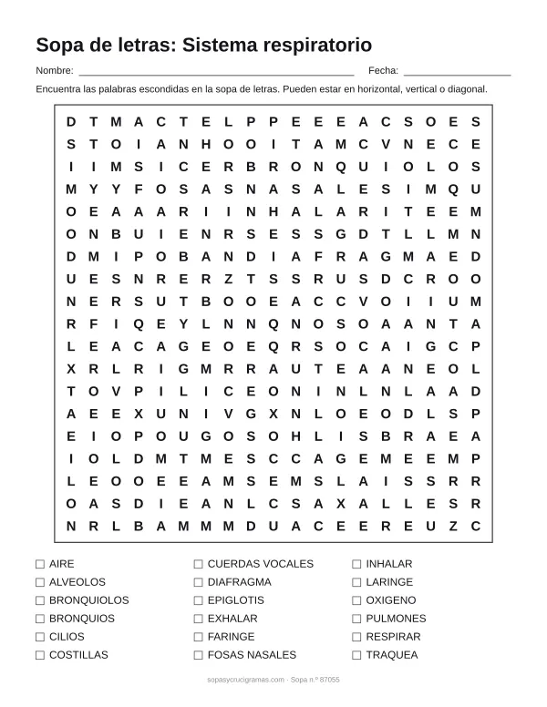 Hoja para imprimir de la sopa de letras del sistema respiratorio: cuadrícula de 19 × 19 letras con 18 palabras escondidas, renglones para nombre y fecha y la lista de palabras para tachar.